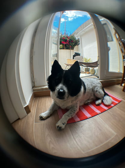 Rectangle 4553 3